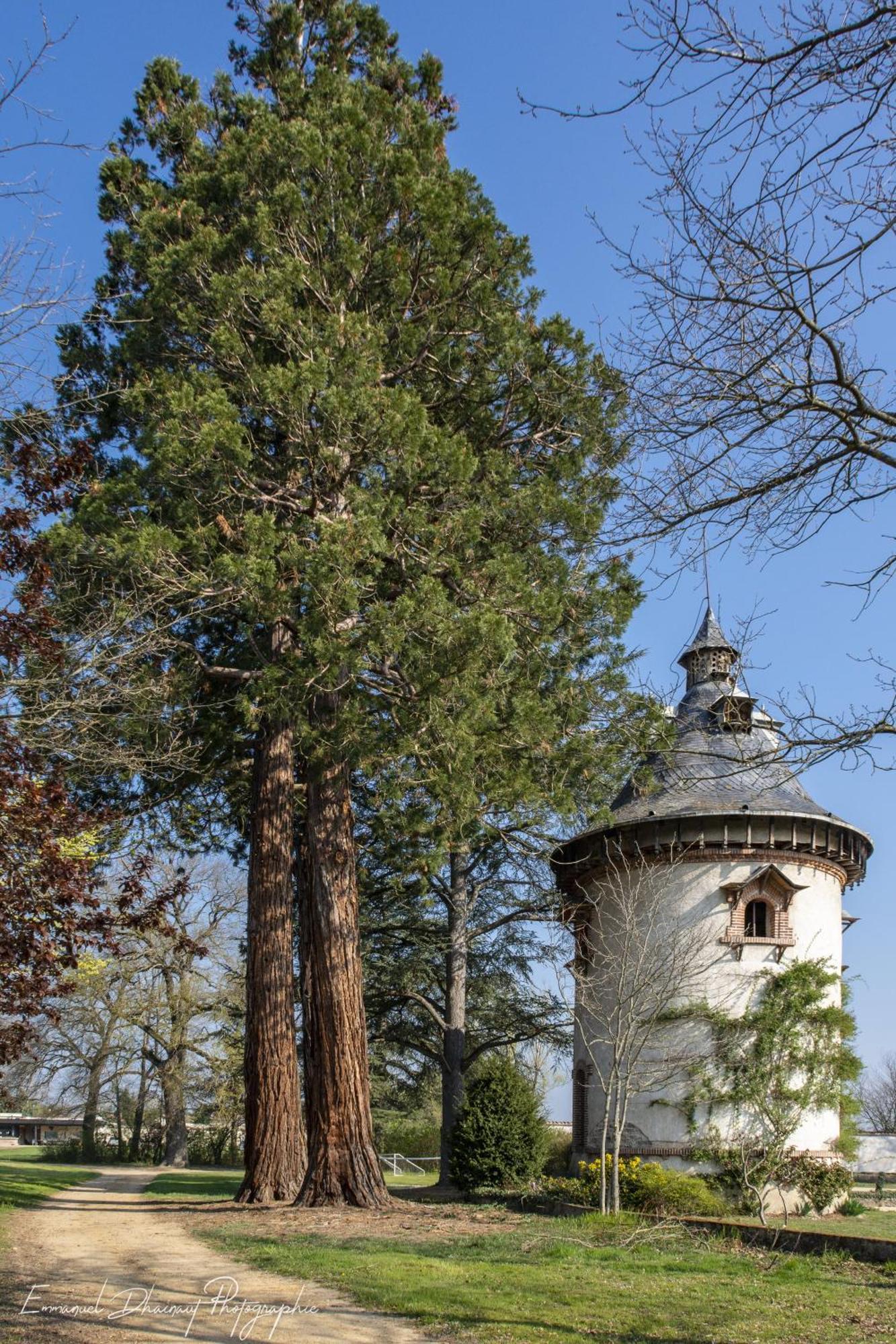 Orangerie De Chatel-Selection Figaro & Elle Magazine Bed & Breakfast Cleppe Bagian luar foto